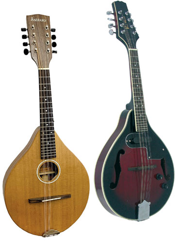 Mandolins at Hobgoblin Music